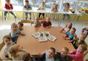 Fotografia dzieci siedzących przy stole podczas siania rzeżuchy.
